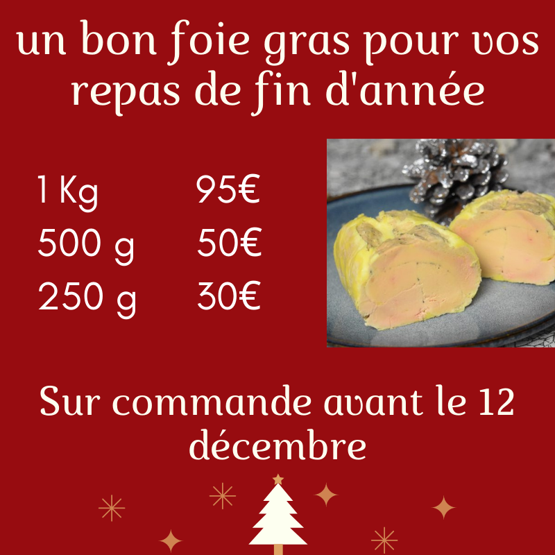 citation vie noel 1
